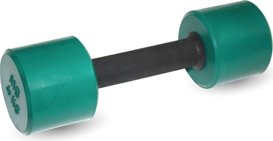 Гантель MB Barbell MB-Fit 1 kg