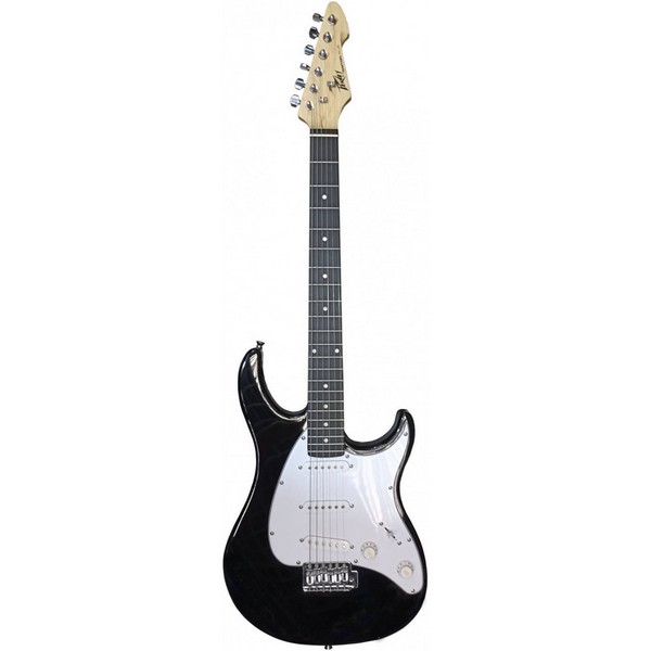 Электрогитара Peavey Raptor Plus 00489450 black